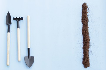 Tools for gardening at home. Growing food on windowsill. Copyspace for text. Top view. Flatlay on blue background.