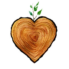 Watercolour wooden Heart isolated on white background. Watercolor heart wood slice illustration. 