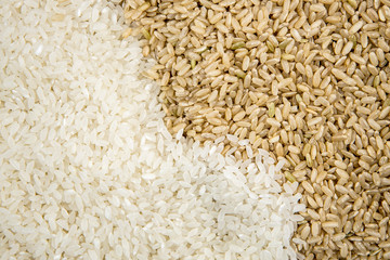 Raw brown and white rice separated.