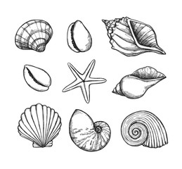 Hand drawn vector illustrations. Marine background with seashells. Collection of shell, sink and starfish. Perfect for invitations, fabric, textile, linens, posters, prints, banners