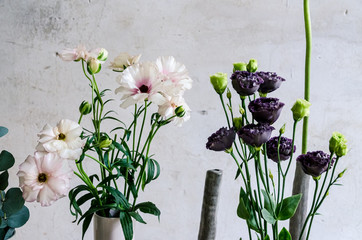 Fresh Purple White and Green Cloves Flowers in a vase