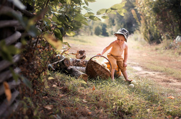little boy playing with apples and pumpkins