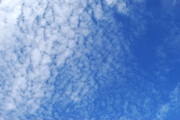 Fototapeta na wymiar delicate patterns of white clouds in the blue sky