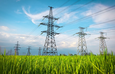 High voltage lines and power pylons in a flat and green agricultural landscape on a sunny day with...
