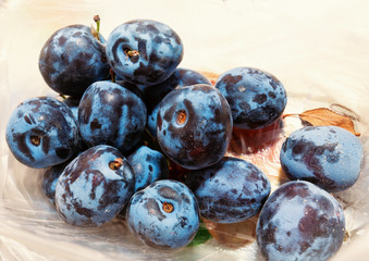 Autumn harvest fruits. On the table in a white box are blue plums. Near the little yellow leaf.