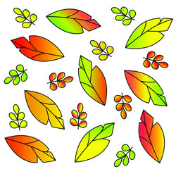 vector autumn leaves  pattern isolated on white background