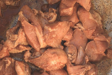 Pieces of meat ready for grill.