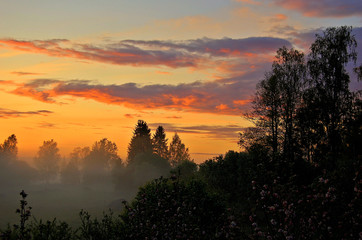 
Bright sunset sky over a foggy forest