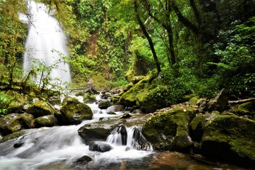 Fototapeta premium Panama Waterfall 2