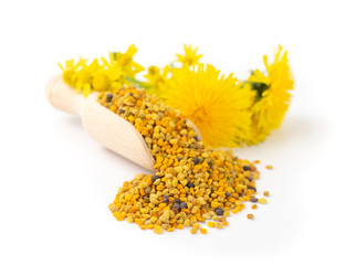 Bee Pollen, Perga, Flower Pollen Grains or Bee Bread