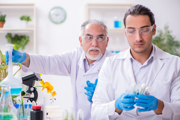 Two chemists working in the lab