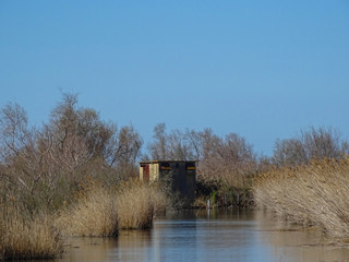 Un coin de nature