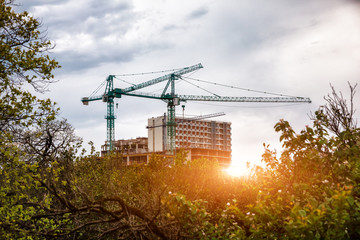 Construction site with green park area. Cranes and buildings in morning sun