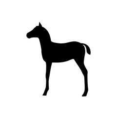 Horse foal silhouette isolated on white background.