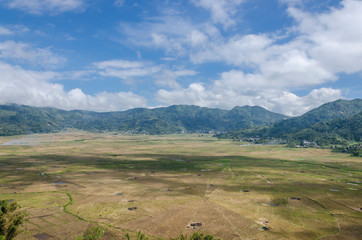 Spider web rice fields, Ruteng, Indonesia