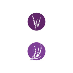 Lavender Logo Template vector symbol