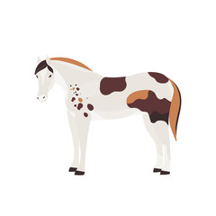 Horse vector illustration isolated on white background. Farm animal. Wild Mustang.