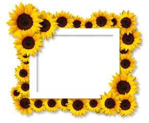 floral frame greeting card with sunflower flowers isolated on white background with copy space. Can be used for invitation or mothers day card