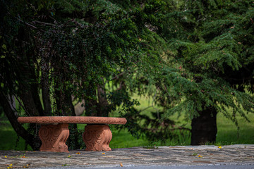 Bench in the park with forest behind.