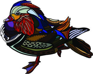 Colorful mandarin duck - vector illustration