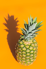 Pineapple with trendy hard light and shadows orange background