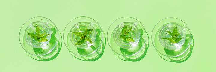 Relaxing mint tea on green background, trendy light and shadow