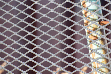 Textura malla de metal