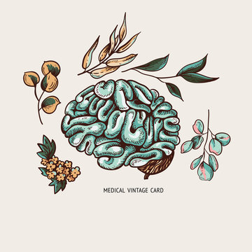Vector human brain illustration with leaves and flowers, natural card, healthy brain,