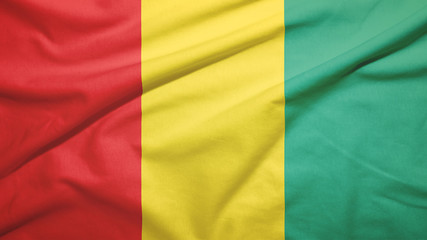 Guinea flag with fabric texture