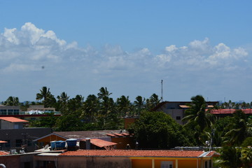 Obraz premium porto de galinhas 