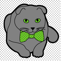 Cute and cheerful grey cat with green eyes and bow tie