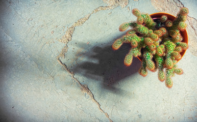 photo from top angle