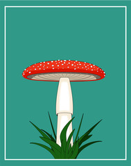 mushroom