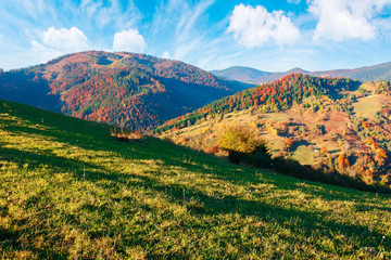 countryside in autumn at sunset. mountain landscape with forests and meadows in evening light...