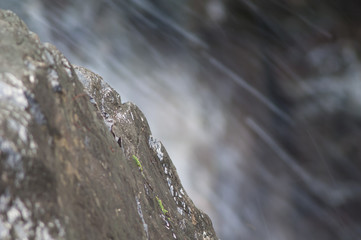 Rock and stream in the background. Integral Natural Reserve of Inagua. Gran Canaria. Canary Islands. Spain.