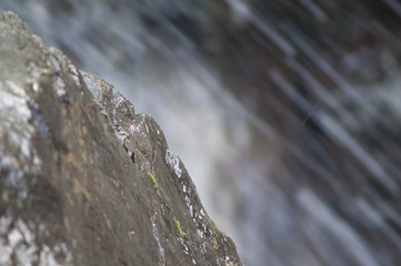 Rock and stream in the background. Integral Natural Reserve of Inagua. Gran Canaria. Canary Islands. Spain.