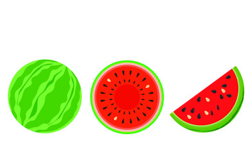 watermelon vector illustration on white background
