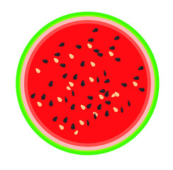 watermelon on white background.  vector illustration