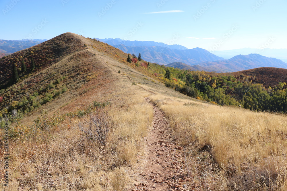 Wall mural The trail crosses the spine of the ridge in East Canyon at the Wasatch Mountains near Morgan, Utah