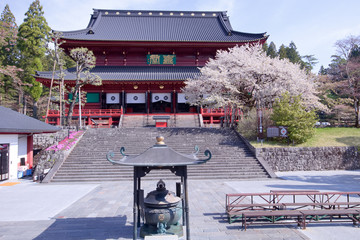 日光山輪王寺　三仏堂と金剛桜（国天然記念物）