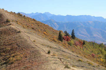 Dry grass dominates the slopes of the Wasatch Mountains in September as fall colors start to show...