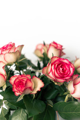 Strauß rosaner Rosen in Blumenvase vor weißem Hintergrund