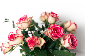 Strauß rosaner Rosen in Blumenvase vor weißem Hintergrund