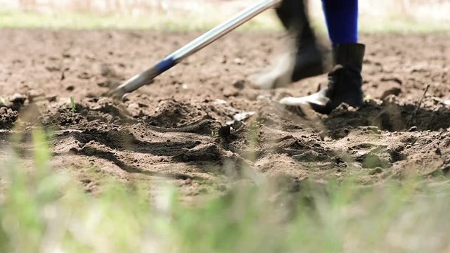 farmers working on farmland field seeding plants in row at spring ground