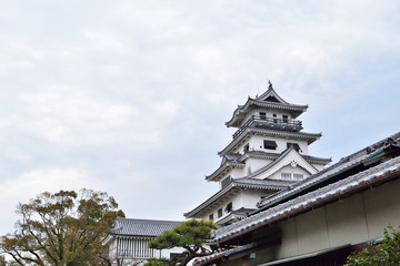 Fototapeta na wymiar 今治城　愛媛県今治市