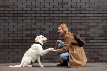 young beautiful girl with a dog on a street against a wall, a retriever puppy gives a paw to a woman, copy space
