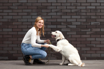 young beautiful girl with a dog on a street against a wall, a retriever puppy gives a paw to a woman