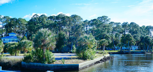 Florida Hernando beach and swamp