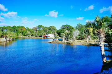 Beautiful Florida swamp winter landscape