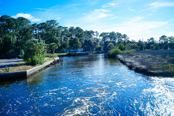 Florida Hernando beach and swamp